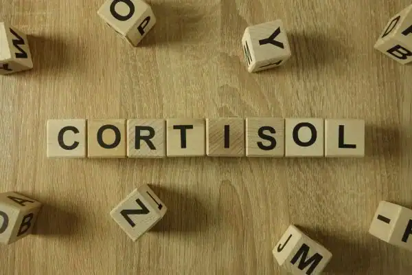 The Hidden Connection: How Stress Shapes Your Fitness and Body Composition 2 Image saying "Cortisol" and how stress Harrogate impacts your wellbeing and bodies shape
